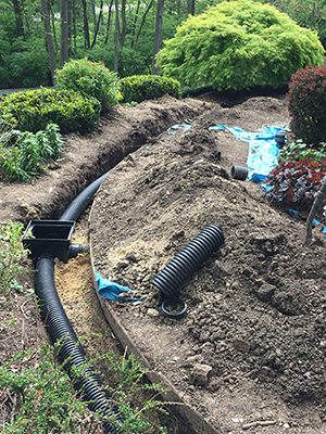 Drainage in Forest Hill