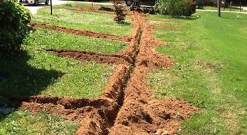 Irrigation in Forest Hill